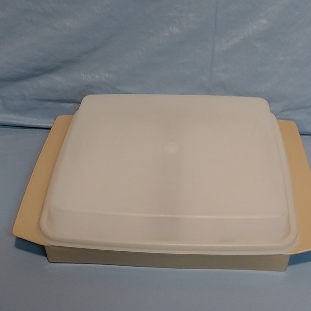Vintage Tupperware Divided Tan Devilled Egg Keeper Holder 723-3